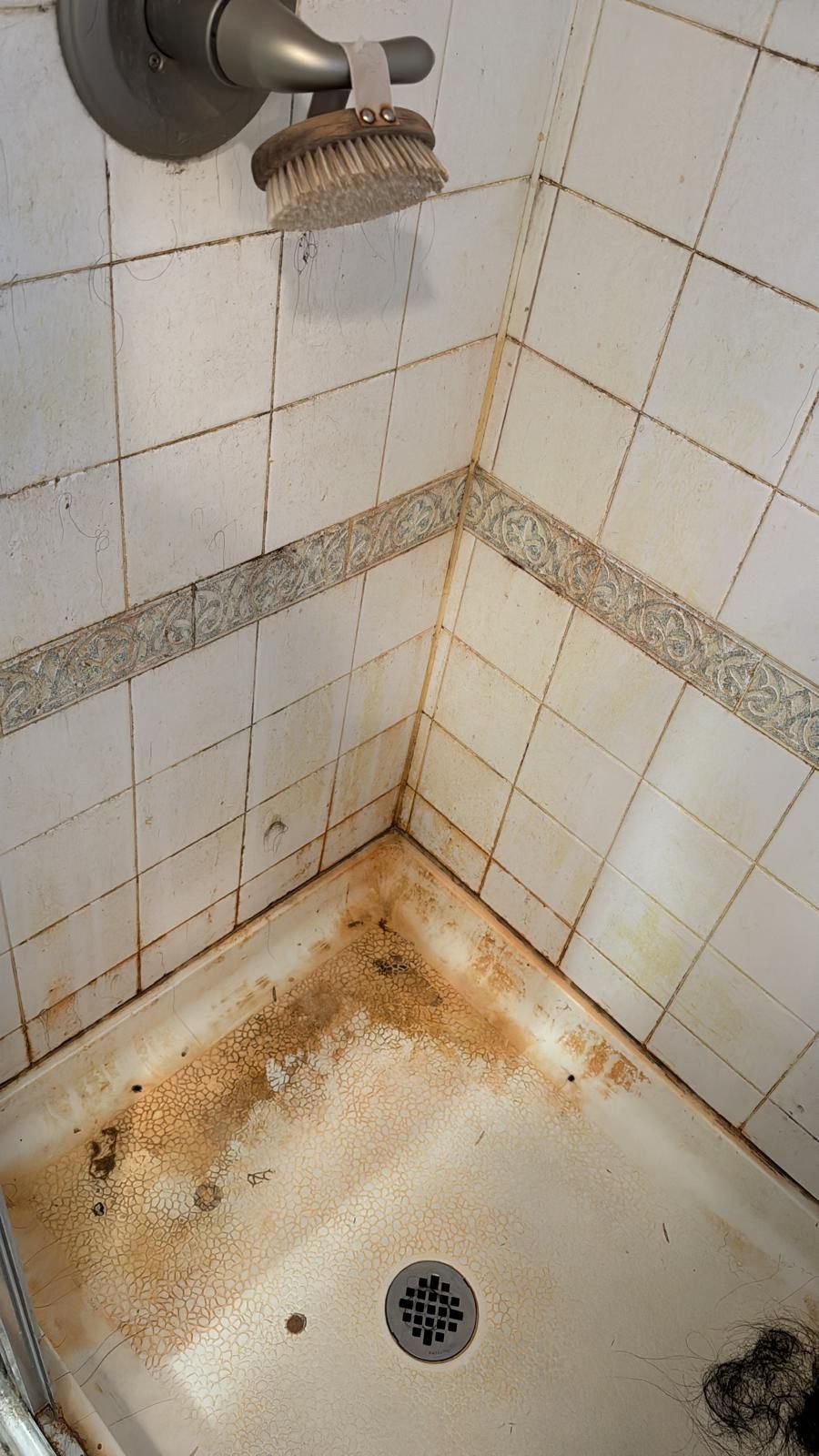 WhatsApp Image 2026-02-09 at 11.12.43