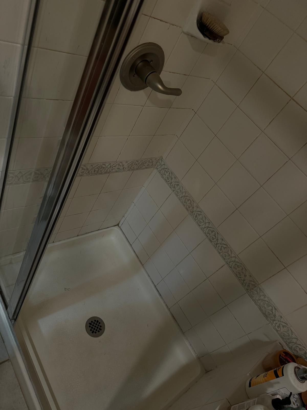 WhatsApp Image 2026-02-09 at 11.12.43a