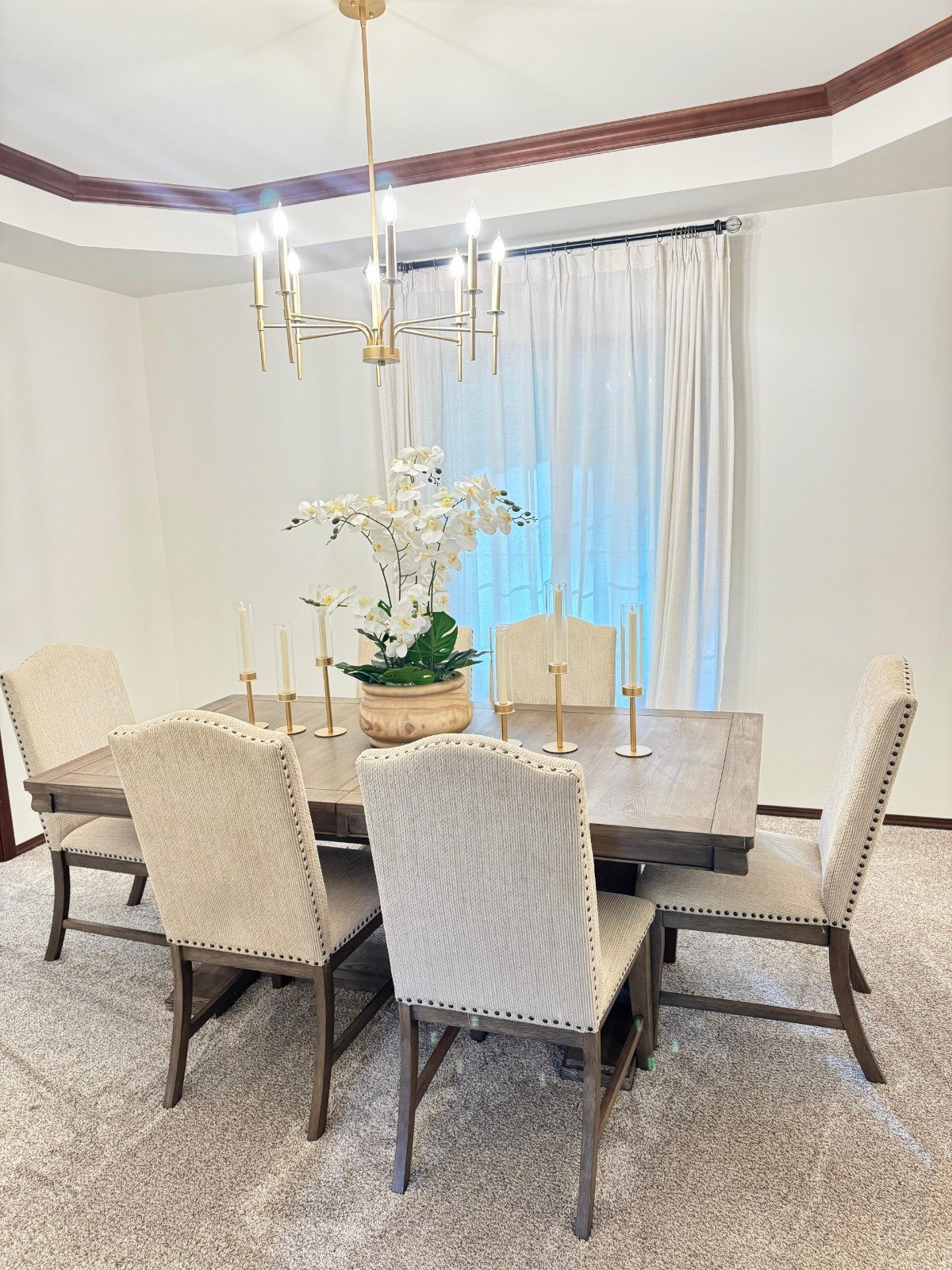 WhatsApp Image 2026-02-09 at 11.12.46